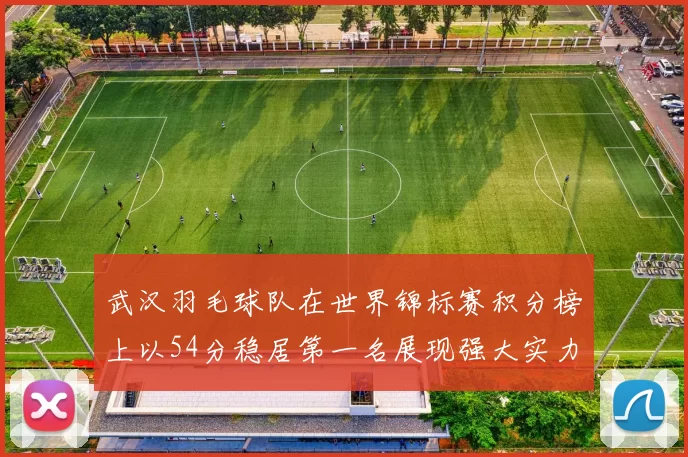 武汉羽毛球队在世界锦标赛积分榜上以54分稳居第一名展现强大实力