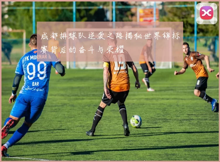 成都排球队逆袭之路揭秘世界锦标赛背后的奋斗与荣耀