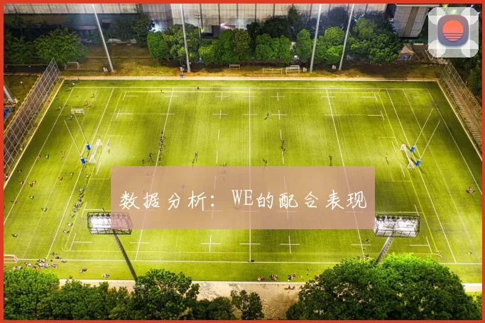 数据分析：WE的配合表现