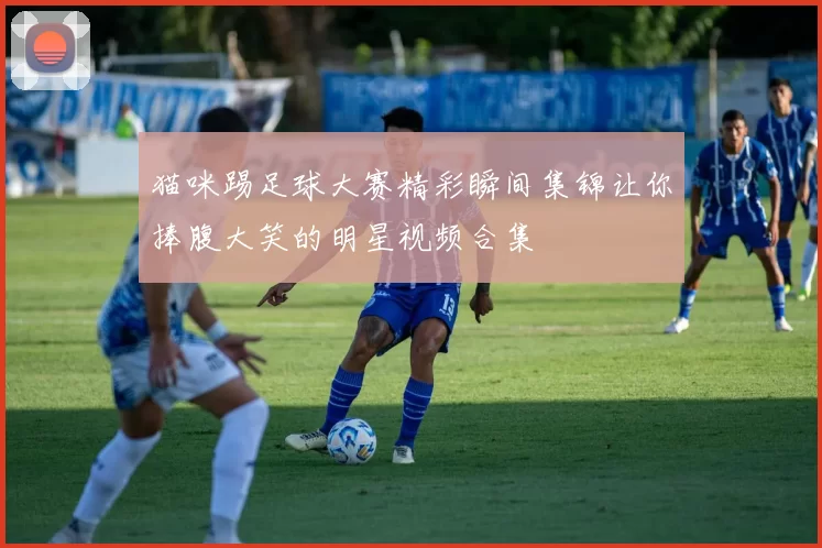 猫咪踢足球大赛精彩瞬间集锦让你捧腹大笑的明星视频合集