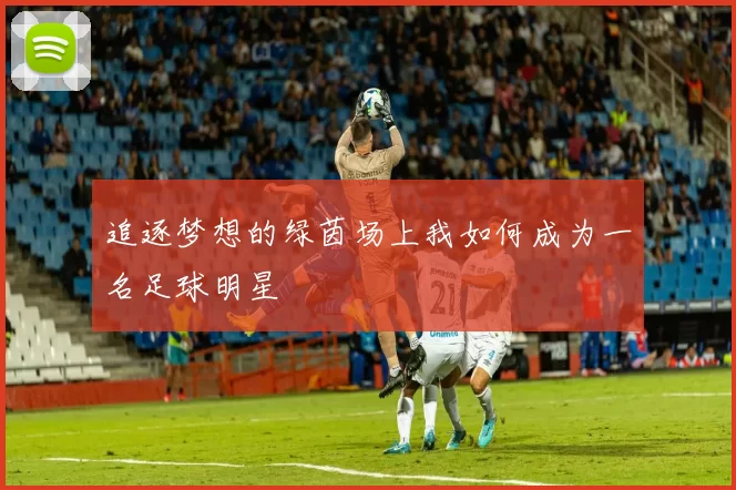 追逐梦想的绿茵场上我如何成为一名足球明星