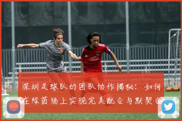 深圳足球队的团队协作揭秘：如何在绿茵场上实现完美配合与默契合作