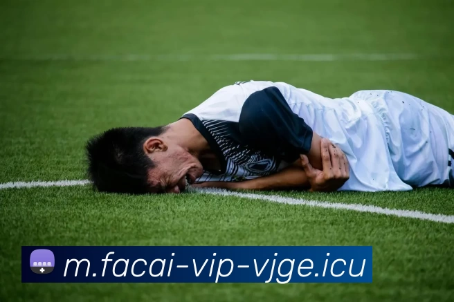 九游体育注册APP 封面图